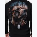 Pánská mikina Pitbull Hero Hooded black 3