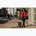 Dámská bunda Pitbull Angela San Diego Hooded Varsity fluo/red 17