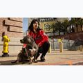 Dámská bunda Pitbull Angela San Diego Hooded Varsity fluo/red 19