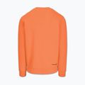 Pánská mikina Pitbull Dogwood Crewneck Sweatshirt fluo orange 5
