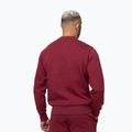 Pánská mikina Pitbull Sampson Crewneck Sweatshirt burgundy 3