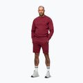 Pánská mikina Pitbull Sampson Crewneck Sweatshirt burgundy 4