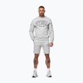 Pánská mikina Pitbull Badger Crewneck grey/melange 2