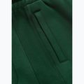 Pánské kalhoty Pitbull Badger Track hunter green 8