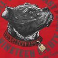 Pánská mikina Pitbull Strenght & Respect Sweatshirt Hooded red 9