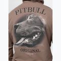 Pánská mikina Pitbull Midnight Sweatshirt Hooded brown savana 6