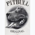 Pánská mikina Pitbull Midnight Sweatshirt Hooded off white 9