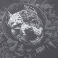 Pánská mikina Pitbull World Sweatshirt Zip Hooded graphite 11