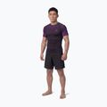 Pánský rashguard Pitbull Belt Rashguard purple 2