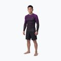 Pánský rashguard s dlouhým rukávem Pitbull Belt Rashguard purple 2