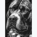 Pánský rashguard s dlouhým rukávem Pitbull Blacky Rashguard 8
