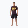 Pánské tričko na lezení Pitbull Rashguard Logo Palms brown 2