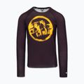 Pánský rashguard s dlouhým rukávem Pitbull Rashguard Logo Palms brown 3