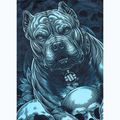 Pánské tričko na lezení Pitbull Mesh Guardian Angel black 7