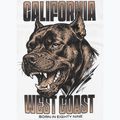 Pánské tričko na lezení Pitbull Best Coast white 11