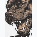 Pánské tričko na lezení Pitbull Best Coast white 12