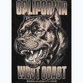 Pánské tričko na lezení Pitbull Best Coast black 11