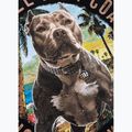 Dámské tričko Pitbull Beach Girl black 11