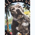 Pánské tričko na lezení Pitbull Beach Boy black 11