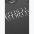 Pánské tričko na lezení Pitbull World graphite 4