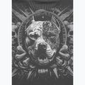 Pánské tričko na lezení Pitbull World graphite 5