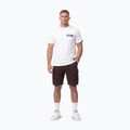 Pánské tričko na lezení Pitbull Avenue white 2