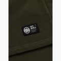 Pánské tričko na lezení Pitbull O'Side Small dark green 7