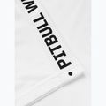 Pánské tričko na lezení Pitbull West Coast Tape white 6