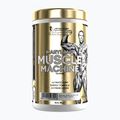 Předtréninkový doplněk Fitness Authority Levrone Gold Maryland Muscle Machine 385 g fruit punch