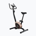 Vertikální stacionární kolo Body Sculpture Bc 1430Gd black 2