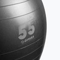 Gymnastický míč fitness Gipara 55 cm šedý 3141 2