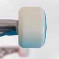 Skateboard Fish Skateboards Pro Paul 8,25" 7