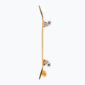 Skateboard Fish Skateboards Beginner Superior 8,0"  4
