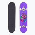 Skateboard Fish Skateboards Začátečník Huron 8.0" 