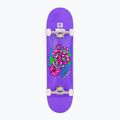 Skateboard Fish Skateboards Začátečník Huron 8.0"  3