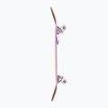 Skateboard Fish Skateboards Začátečník Huron 8.0"  4