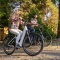 Ecobike LX300 Greenway elektrické kolo bílé 1010306 23