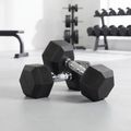 Pogumovaná činka XTREXO Hex HXD250 25 kg 3