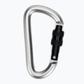 Salewa D-Shape Carbiner se šroubem šedá 00-0000034102 2