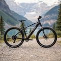 Elektrokolo ATTABO E-ALPE 2.0 29" 36V 14,5Ah 504Wh black 3