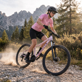 Dámské horské kolo ATTABO ALPE 2.0 29" pink 16
