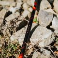 Trekové hole KADVA Tengri nastavitelné červené 13