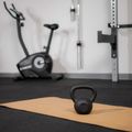 Kettlebell Litinový TREXO 10kg black 6