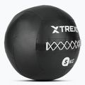 Posilovací míč TREXO Wall Ball 5 kg black 2