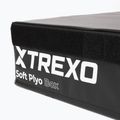Skládací plyometrická bedna TREXO 15 cm black 3
