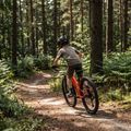 Dětské kolo ATTABO Rash 24" 11,4 kg Gen 2 orange 3