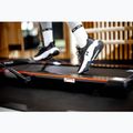 Běžecký pás elektrický  TREXO Walking Pad W150 černý 8