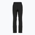 Dámské lyžařské kalhoty DISUMER Alpine Pants WMNS Black 12