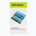 Sada posilovacích odporových gum  XTREXO 5 Mini Power Band resistance band 5 pcs. multicolor 5