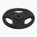 Litinový kotouč TREXO TRX-ICP015 15 kg chrom